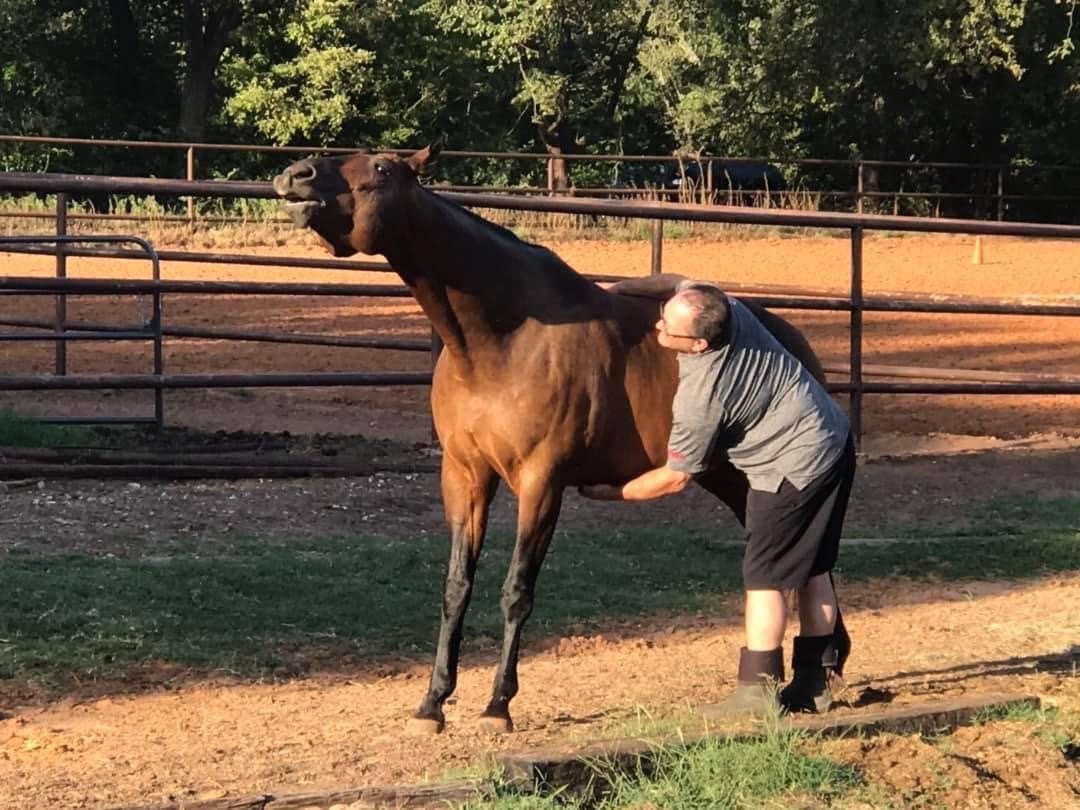 A bay horse enjoys a scratch from a boarder in the pasture at golden hour.