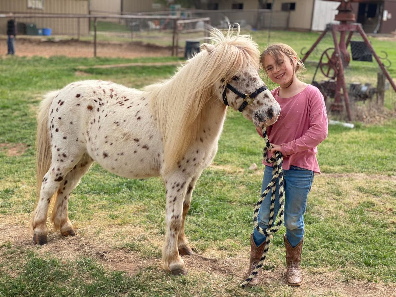 A girl stands with a spotted pony in the pasture.