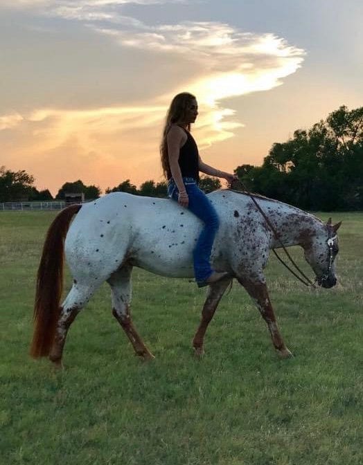 A rider on an Appaloosa against a sunset sky.