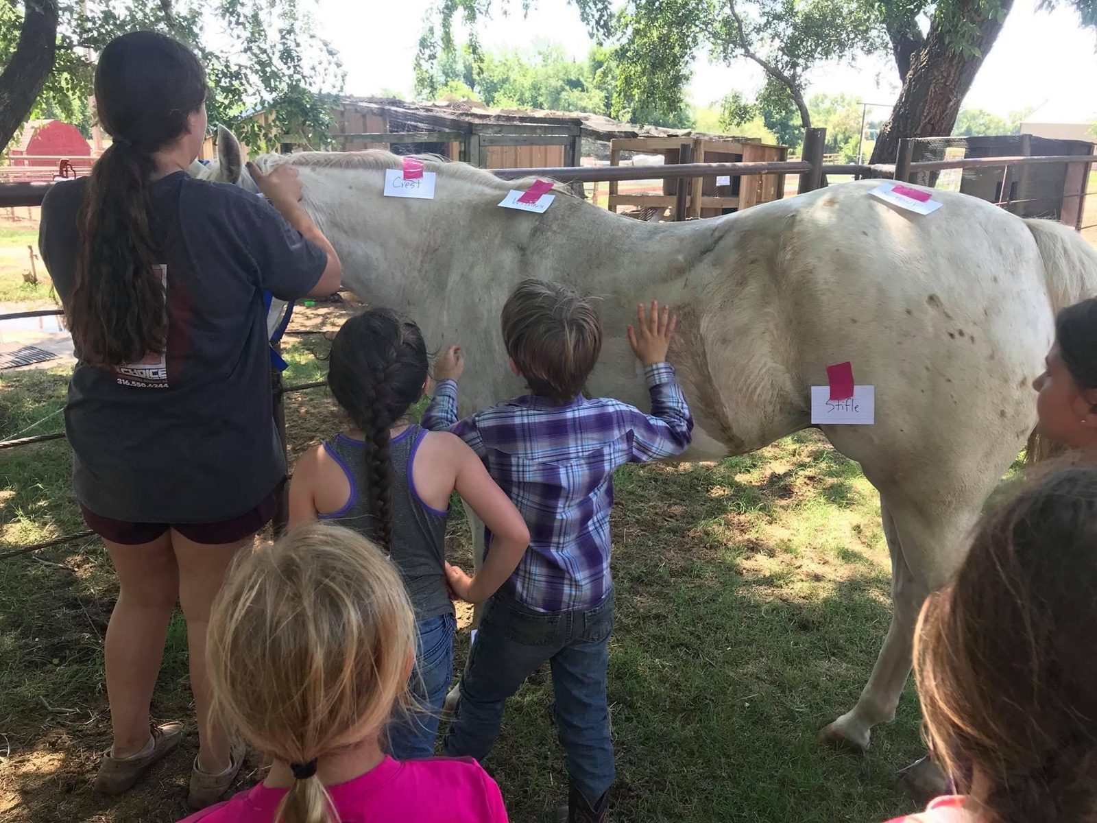 Campers help lead horses back to the barn.