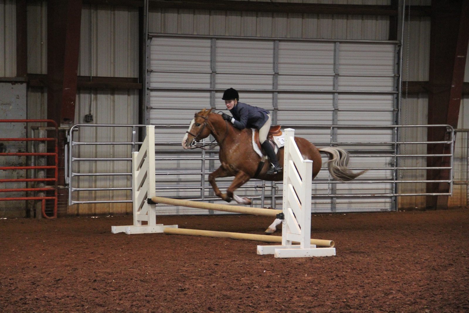 A horse and rider clear a jump in the indoor arena.